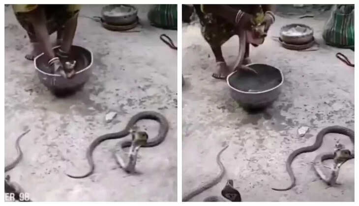 தேய்த்து, தேய்த்து பாத்திரத்தில் வைத்து பாம்புகளை &nbsp;குளிப்பாட்டும் பெண்