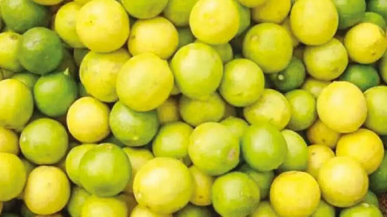 எலுமிச்சைப்பழம் எலுமிச்சை