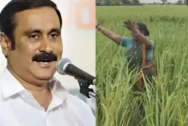 அன்புமணி