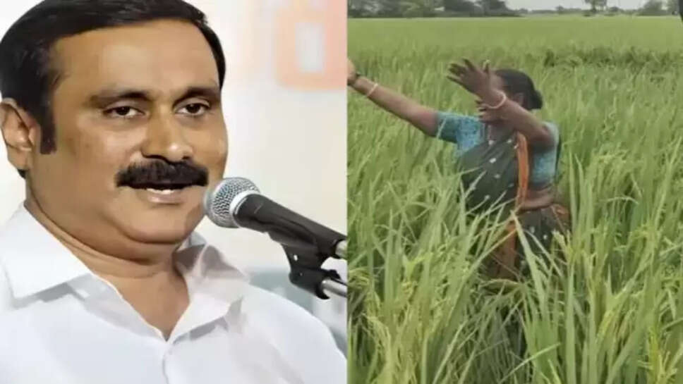 அன்புமணி