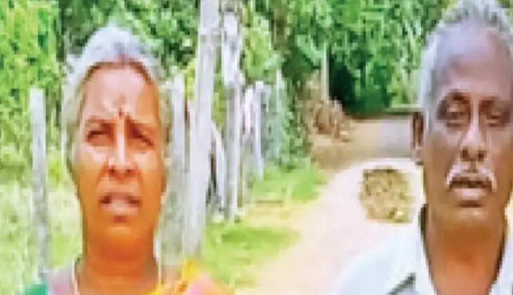 கடலூர்