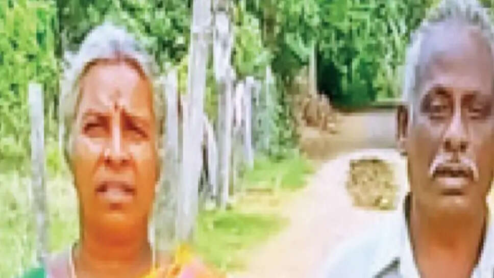 கடலூர்