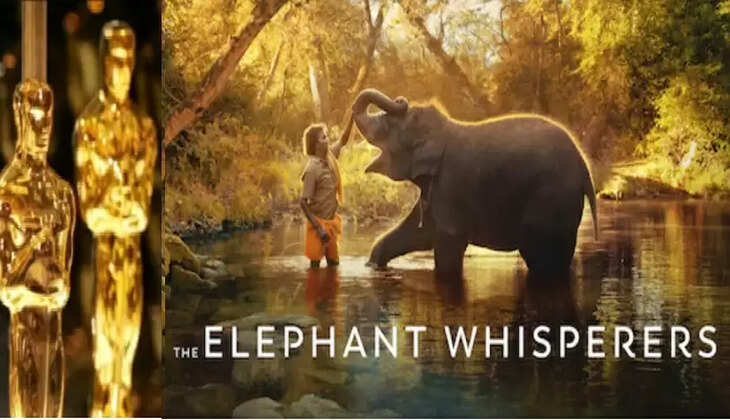 தி எலிபெண்ட் விஸ்பர்ஸ்