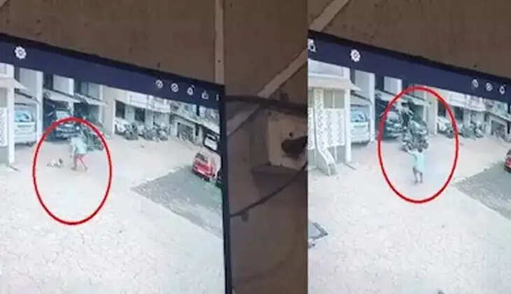 13வது மாடி குழந்தை