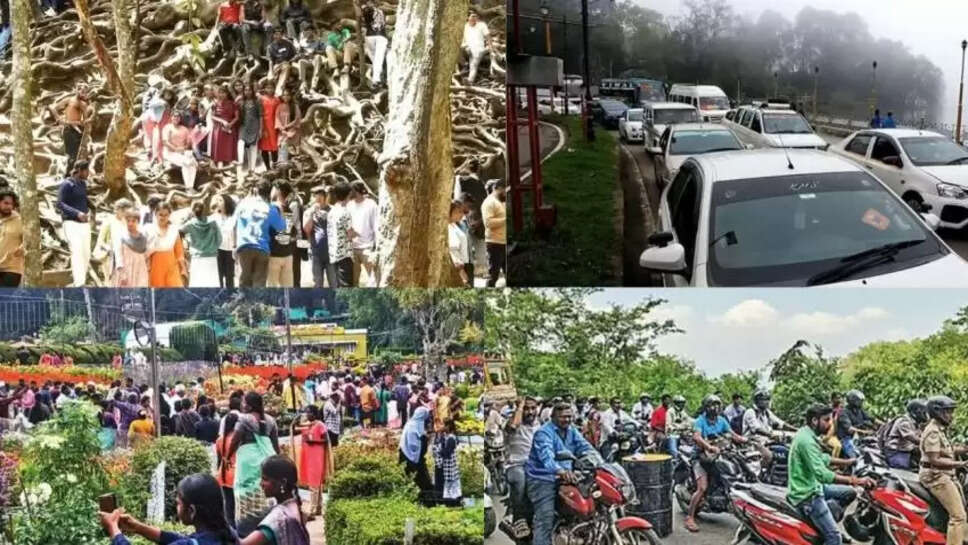 சுற்றூலா  கொடைக்கனால் ஊட்டி ஏற்காடு