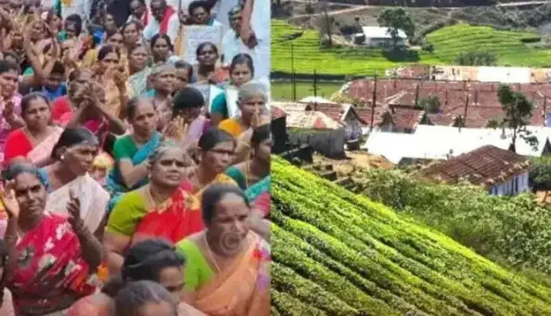 மேகமலை