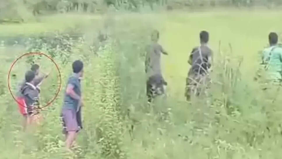 துப்பாக்கி சூடு