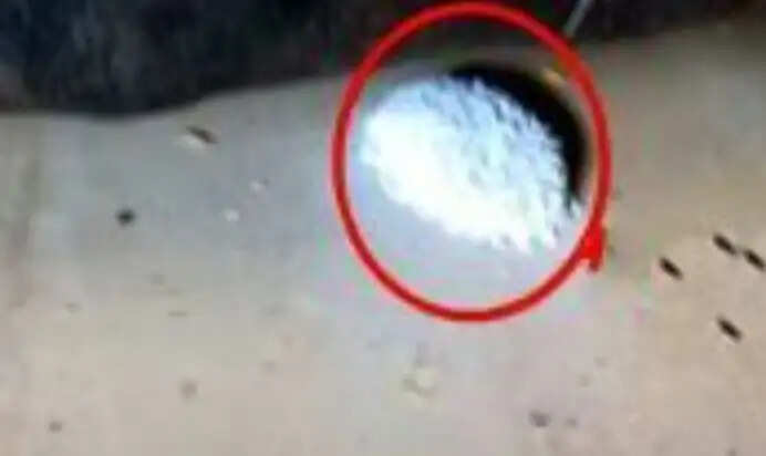 எலி மருந்து