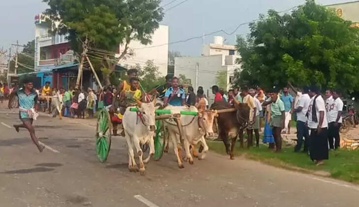  மாட்டு வண்டி எல்கை பந்தயம்
