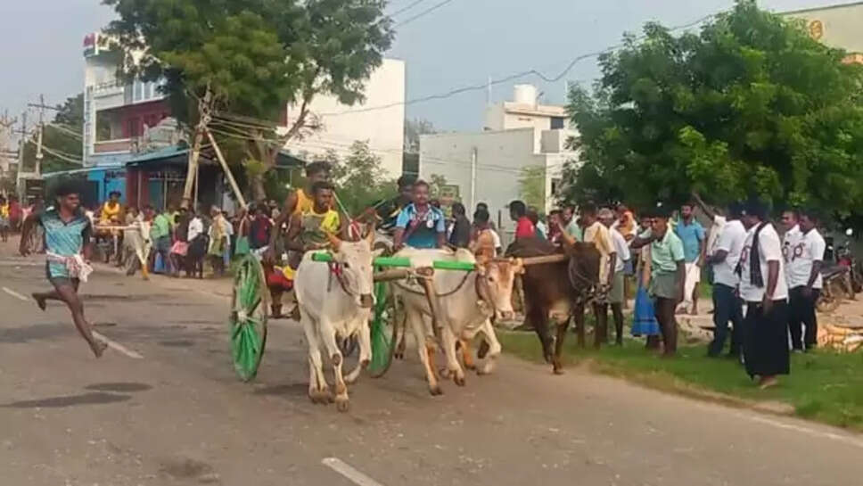  மாட்டு வண்டி எல்கை பந்தயம்