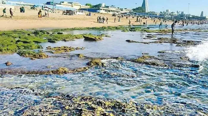 திருச்செந்தூர்