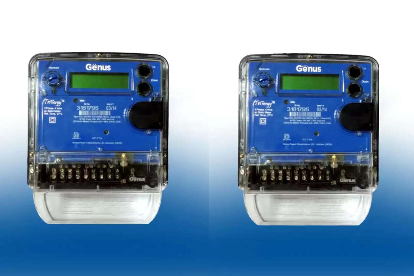 மீட்டர் ஜீனஸ்