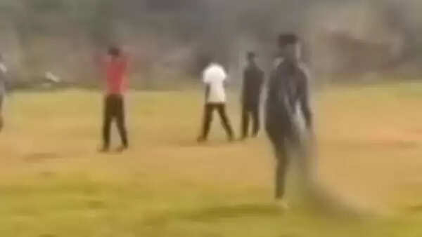 நாயை அடிக்கும் வீடியோ