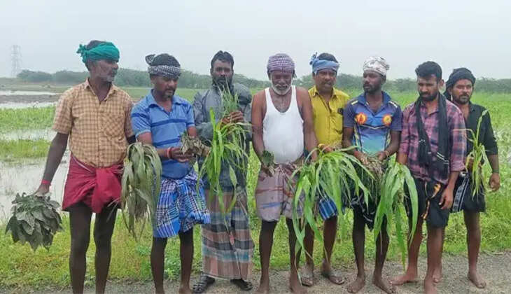 விவசாயிகள்