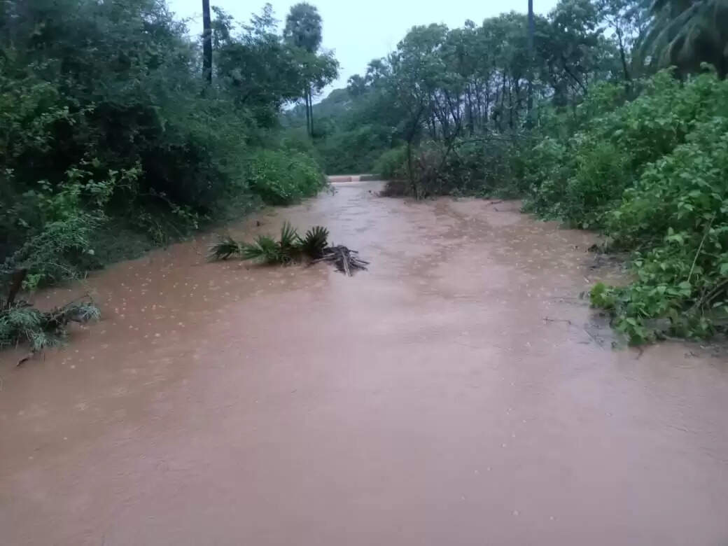 கனமழையால் வெள்ளப்பெருக்கு... நீர்நிலைகள் நிரம்புவதால் விவசாயிகள் 