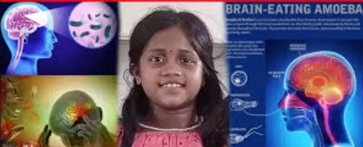 அமீபியா