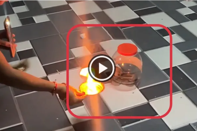 வீட்டிற்குள் புகுந்த பாம்பிற்கு சூடம் ஏற்றி வழிபாடு!