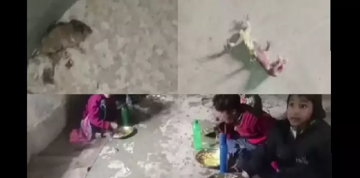 மதிய உணவில் பல்லி, எலி!! அரசுப்பள்ளிகளில் அவலம்!!