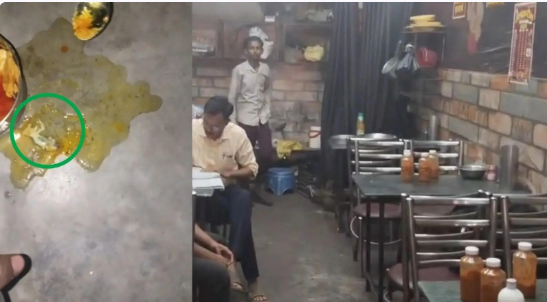 சமைத்த சிக்கனில் செத்த பல்லி கலந்த உணவைச் சாப்பிட்ட இளைஞர் கவலைக்கிடம்...பகீர் வீடியோ!