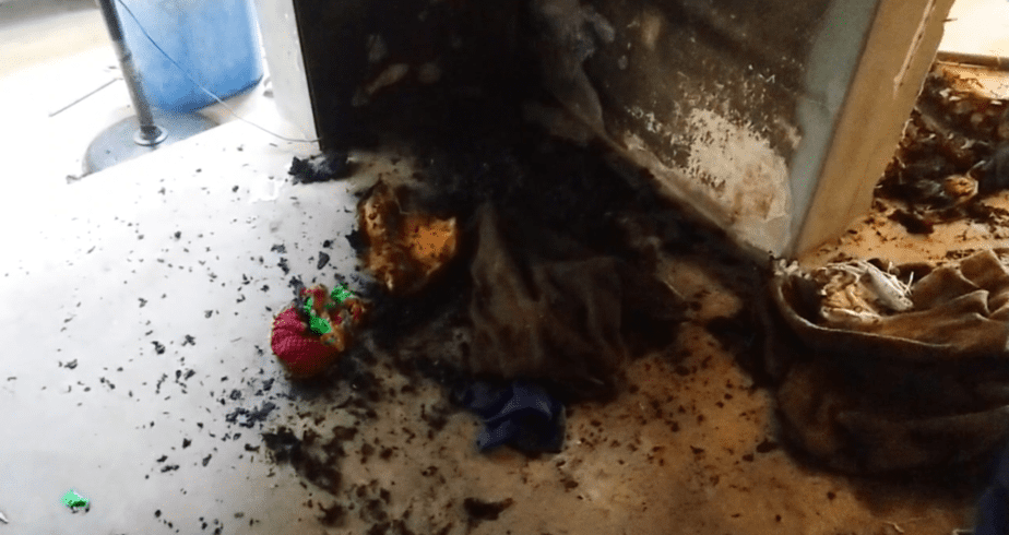 ராணிப்பேட்டை அருகே சோகம்! டீக்கடையில் சிலிண்டர் வெடித்து விபத்து.. 5 பேர் மருத்துவமனையில் அனுமதி!!