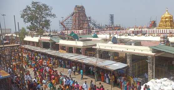 பழனியில் 3 நாட்கள் கட்டணமில்லா தரிசனம், இலவச பேருந்து, 2 லட்சம் பக்தர்களுக்கு அன்னதானம்!