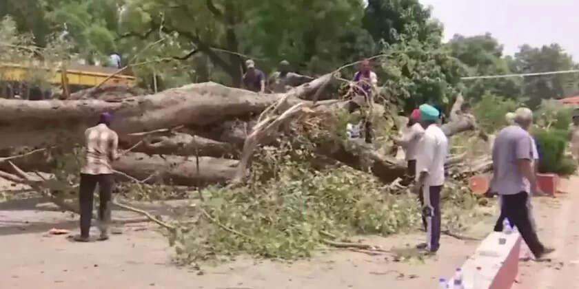 பள்ளியில் வேரோடு சாய்ந்த மரம்!! ஒரு மாணவர் பலி!! 20 மாணவர்கள் படுகாயம்!!
