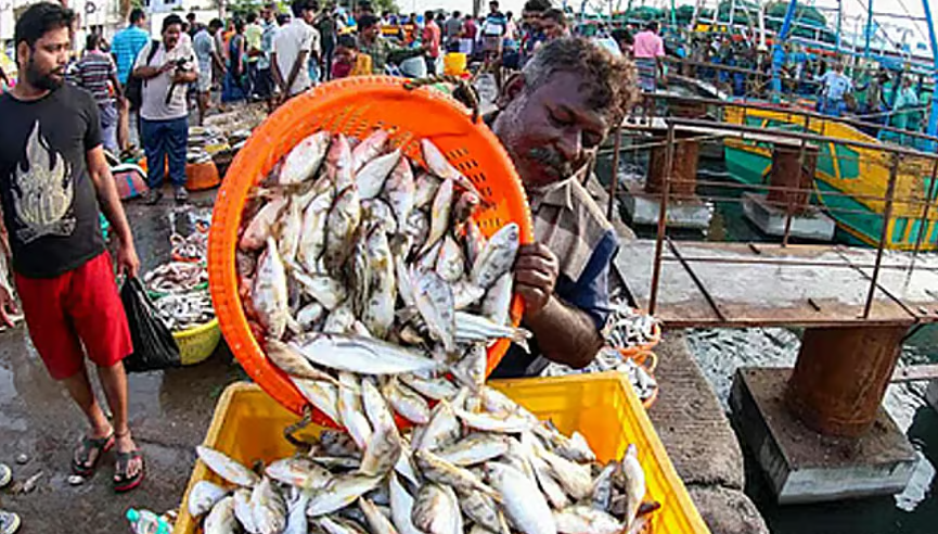 அசைவ பிரியர்கள் அதிர்ச்சி... மீன்பிடி தடைக்காலம் தொடங்குவதற்கு முன்பே மீன் விலை 3 மடங்கு உயர்வு!