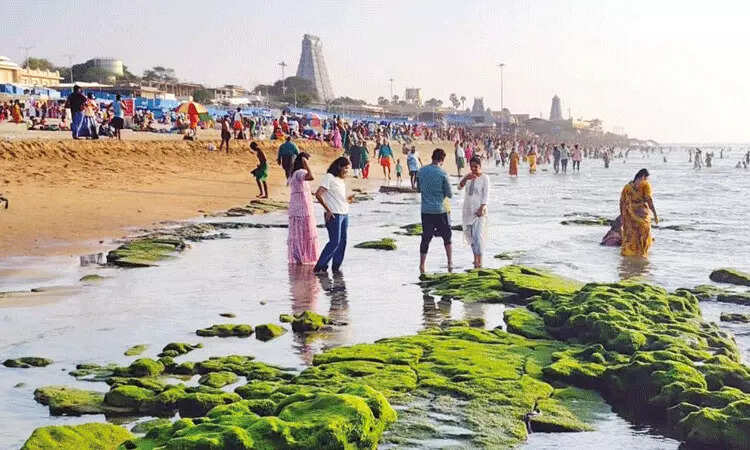 திருச்செந்தூரில் 500 மீட்டர் நீளத்திற்கு கடல் உள்வாங்கியது!