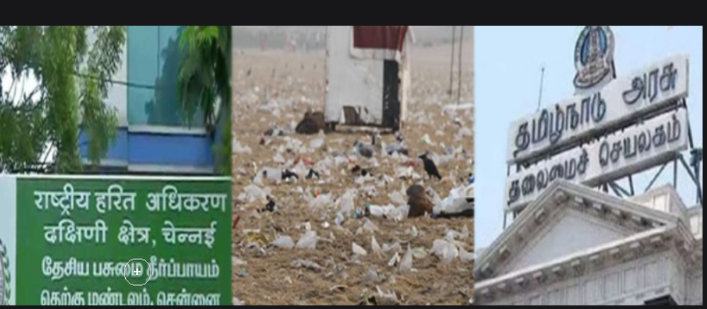 இனி காணும் பொங்கல் பண்டிகைக்கு விடுமுறை ரத்து? பசுமை தீர்ப்பாயம் கடும் எச்சரிக்கை !