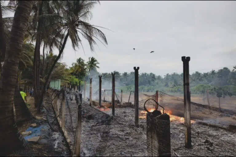 பரிதாபம்!! 5000 கோழிக்குஞ்சுகள் தீயில் கருகி பலி!!