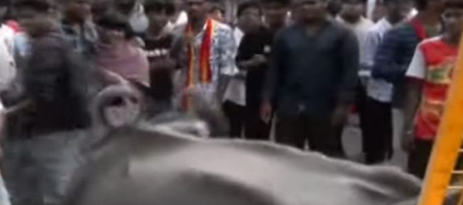 தவெக பொதுக்கூட்டத்தில் க்யூஆர் கோடுடன் எருமை மாடுகள்...!