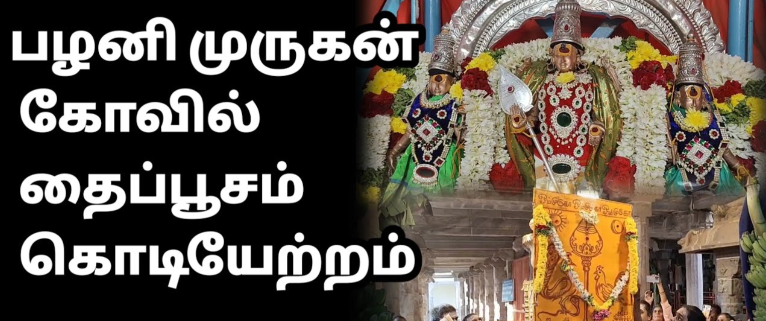 கொடியேற்றத்துடன் தைப்பூசத் திருவிழா தொடக்கம் ... பழனி முருகன் கோவிலில் கோலாகலம்!
