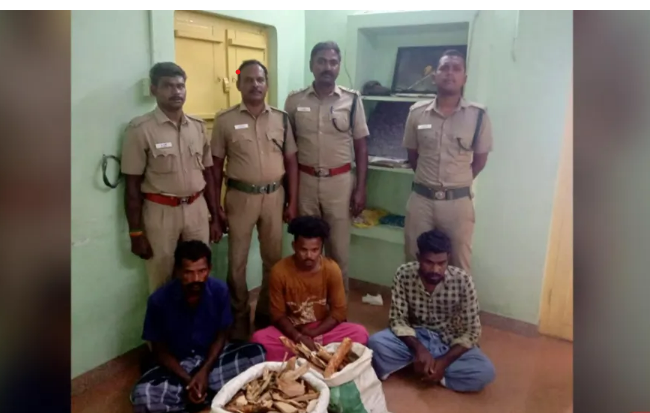 சந்தன மரத்தை கடத்த முயன்ற 3 இளைஞர்களை தட்டி தூக்கிய காவல்துறை!!