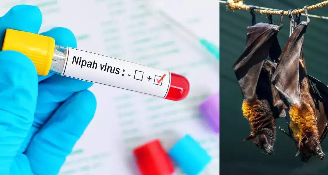 பொதுமக்களே உஷார்... நிஃபா வைரசால் ஒருவர் உயிரிழப்பு..!