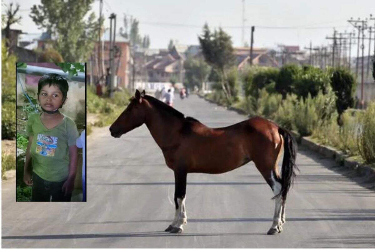 பகீர்!! குதிரை எட்டி உதைத்ததில் 4வயது சிறுவன் பலி!!