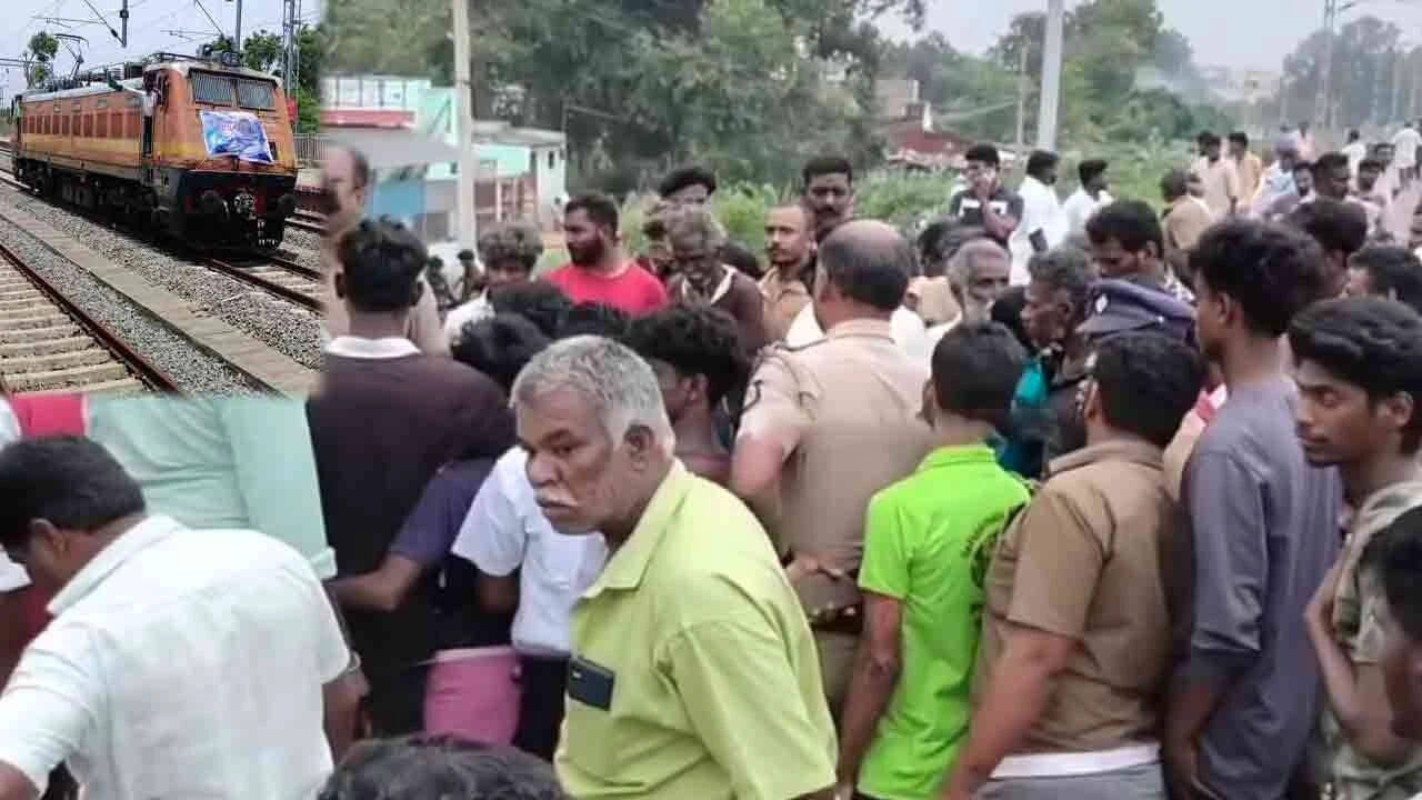 ஆடு