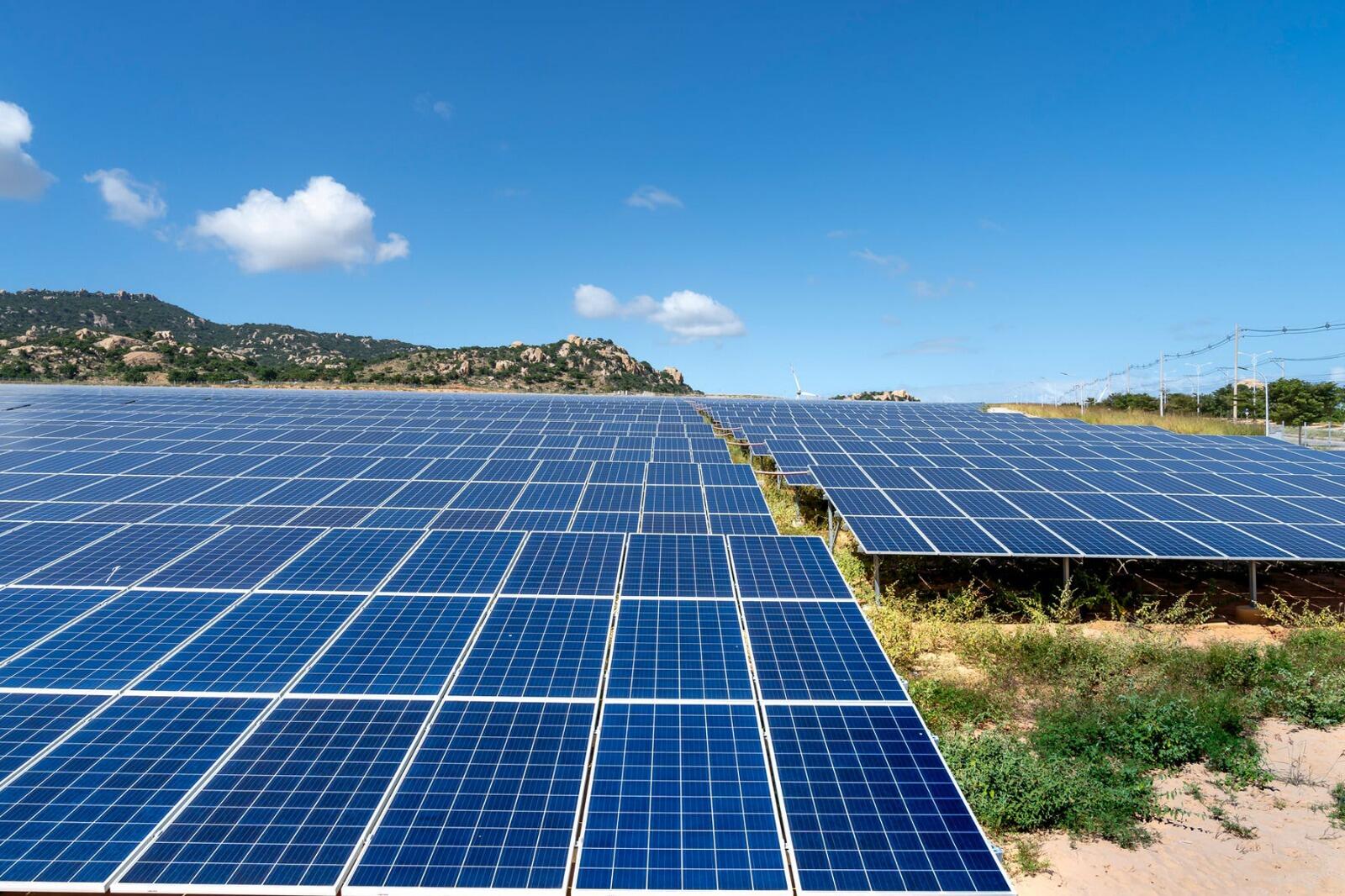 அடேங்கப்பா.. 1:5 பங்கு பிரிப்பு! மீண்டும் மீண்டும் அப்பர் சர்க்யூட்டில் வர்த்தகம்! மல்டிபேக்கர் பங்கு ஈவுத்தொகை அறிவித்தது!