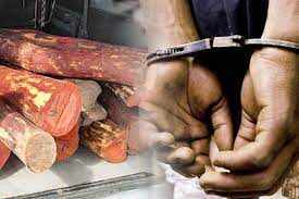 செம்மரக் கடத்தலில் சென்னை தலைமைக் காவலர்... பரபரக்கும் காவல்துறை!