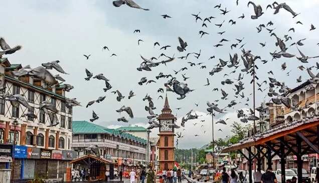 இந்தியா - பாகிஸ்தான் இடையே போர் நிறுத்தத்தைத் தொடர்ந்து காஷ்மீரில் இயல்பு நிலை திரும்பியது!