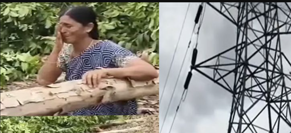 மரங்களை வெட்டியதால் கதறி அழுத நில உரிமையாளர்... வைரல் வீடியோ !