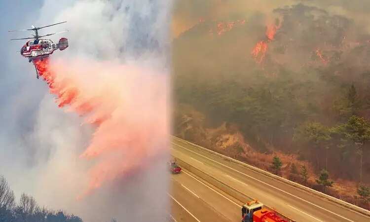 தென்கொரியாவில் பற்றி எரியும் காட்டுத்தீ... 16 பேர் பலி 19 பேர் காயம் !