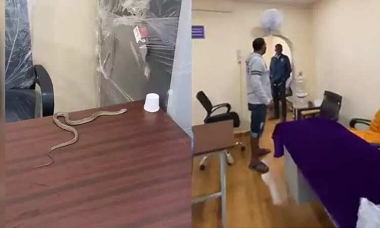 வைரல் வீடியோ!! மாநகராட்சி அலுவலகத்தில் பாம்பை விட்டு அதிர்ச்சி ஏற்படுத்திய நபர்!!