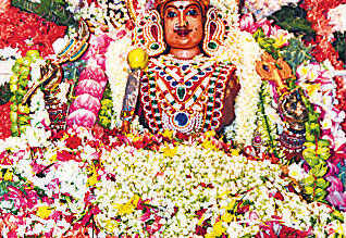 பழனியில் குவிந்த பக்தர்கள்... இன்றிரவு மாரியம்மன் திருக்கோயில் மாசி தேரோட்டம்!