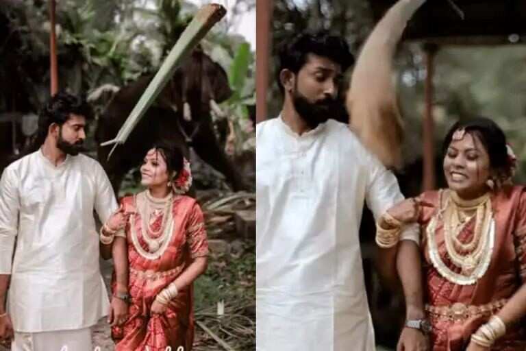 வெட்டிங் போட்டோ ஷூட்டா எடுக்குறீங்க.? மட்டையால் அடித்து துரத்திய யானை!! வைரல் வீடியோ!!