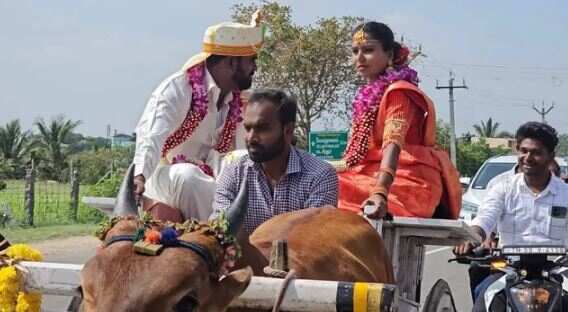 தாலி கட்டிய கையோடு.... மாட்டுவண்டியில் சட்டையை சுழற்றிய புதுமண தம்பதி... வைரலாகும் வீடியோ!