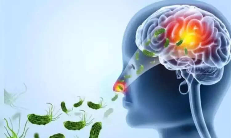 ஒரே மாதத்தில் 7 பேர் பலி... ​​கேரளாவில் ‘மூளையைத் தின்னும்’ அமீபாவால் பலி எண்ணிக்கை 40ஆக உயர்வு!