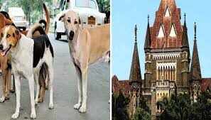 சென்னையில் அடுத்த அதிர்ச்சி... தம்பதியரை தெருநாய் கடித்து குதறிய அவலம்!