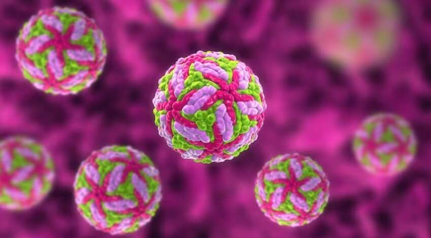 அடுத்த அதிர்ச்சி... கொரோனாவைத் தொடர்ந்து பரவி வரும் புதிய வைரஸ்.. ஒருவர் பலி!