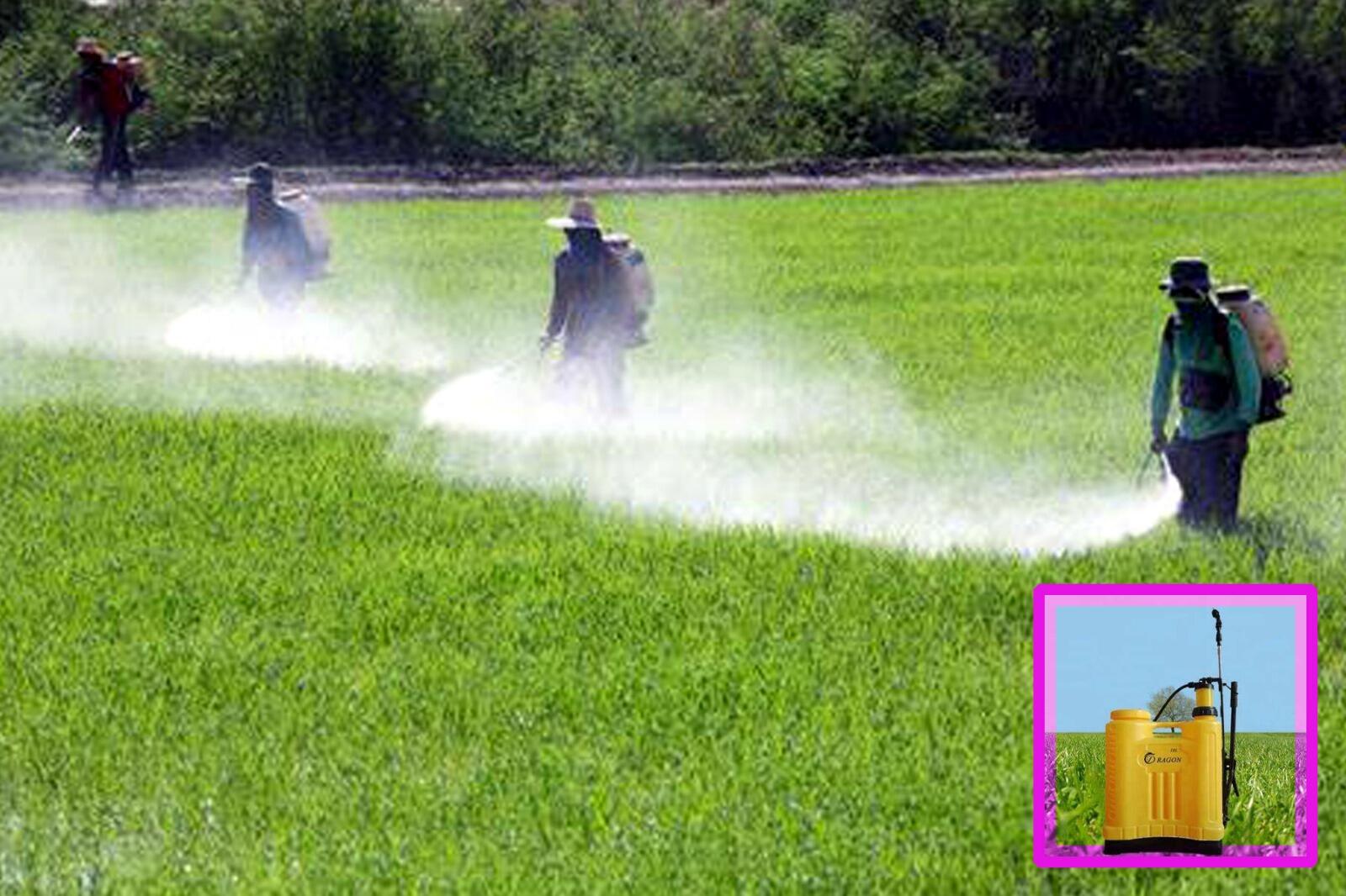 மே 2023ல் போனஸ் பங்குப் பிரிப்புகளைக் கவனிக்க 5 முத்தானா ஷேர்கள்!