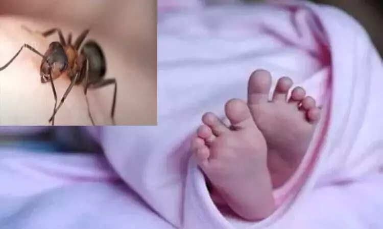 குழந்தை